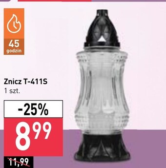 Stokrotka Znicz oferta