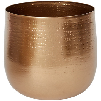 Action Złota doniczka oferta