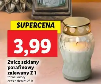 Lidl Znicz z wkładem z1 oferta