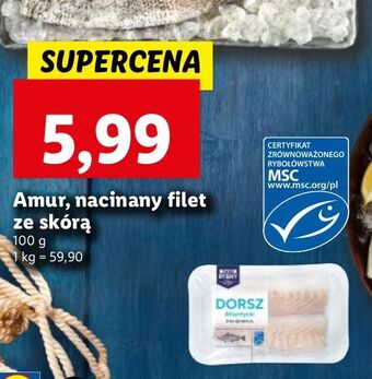 Lidl Amur filet ze skórą oferta