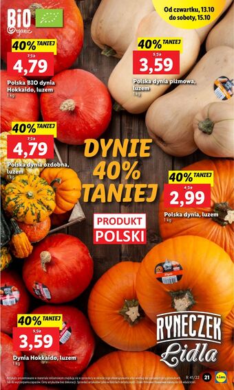 Lidl Dynia ozdobna oferta