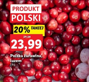 Lidl Żurawina oferta