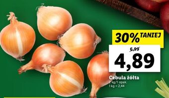 Lidl Cebula żółta oferta