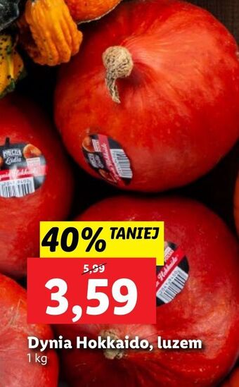 Lidl Dynia hokkaido oferta