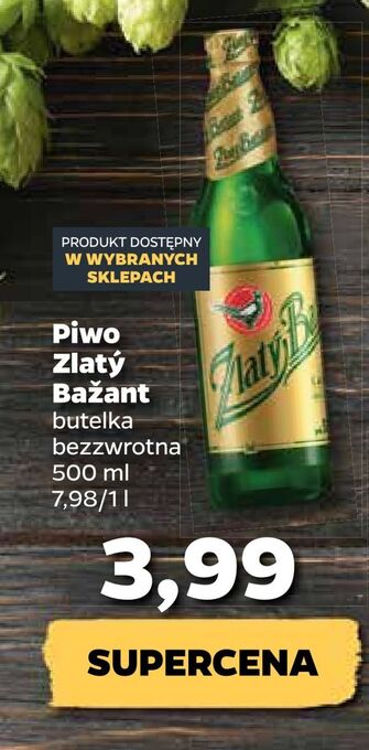 Netto Piwo zlatý bažant oferta