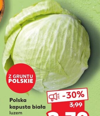 Kaufland Kapusta oferta