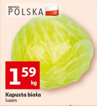 Auchan Kapusta oferta