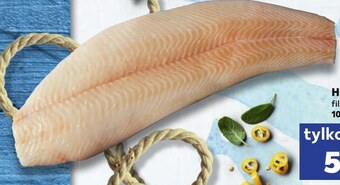 Kaufland Halibut oferta