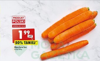 Biedronka marchew luz 1kg oferta
