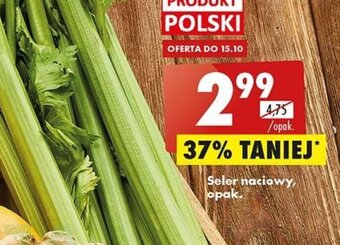 Biedronka seler naciowy opakowanie oferta