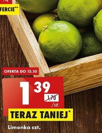 Biedronka limonka 1szt. oferta