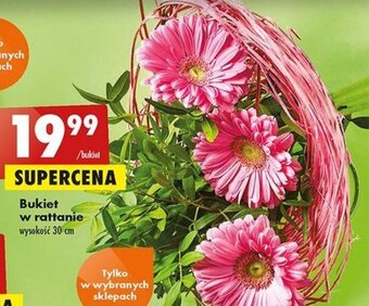 Biedronka bukiet w rattanie oferta