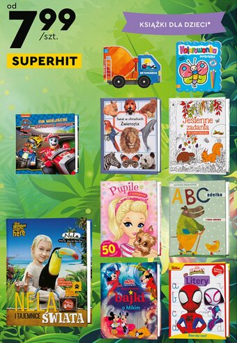 Biedronka Książki dla dzieci 1szt. oferta