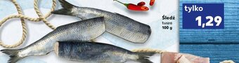 Kaufland Śledź tusza 100g oferta