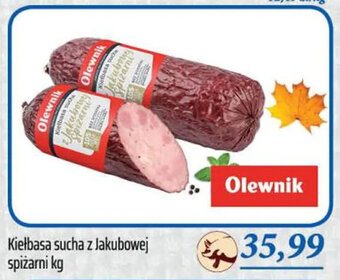 Społem Olewnik Kiełbasa sucha z Jakubowej spiżarni 1 kg oferta