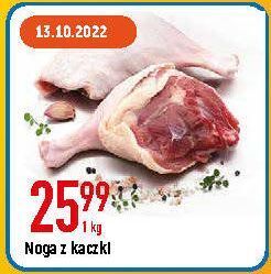 E.Leclerc Noga z kaczki oferta