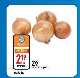 E.Leclerc Cebula żółta oferta