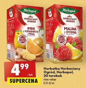 Biedronka Herbata malina z cytryną herbapol herbaciany ogród oferta