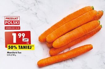 Biedronka Marchew oferta