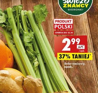 Biedronka Seler naciowy oferta