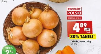 Biedronka Cebula oferta