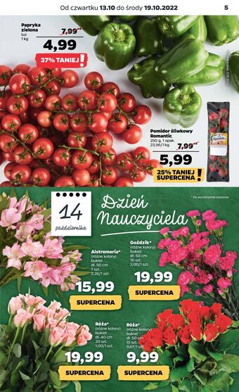 Netto Róże małe wys. 40 cm oferta