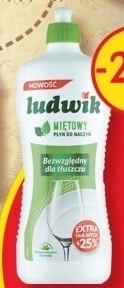 Delikatesy Centrum Ludwik płyn do naczyń miętowy 900 g oferta