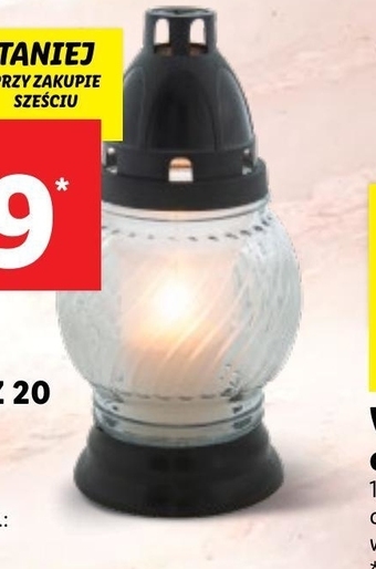 Lidl Znicz lidl oferta