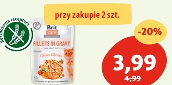 Maxi Zoo Karma dla kota brit care oferta