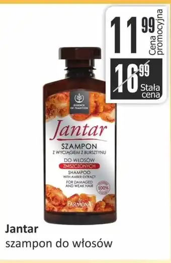 Wispol Szampon jantar oferta