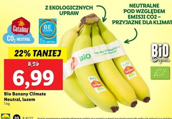 Lidl Banany lidl oferta