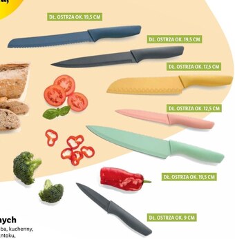 Lidl Zestaw noży ernesto oferta