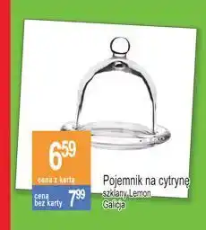 E.Leclerc Pojemnik na cytrynę galicja oferta