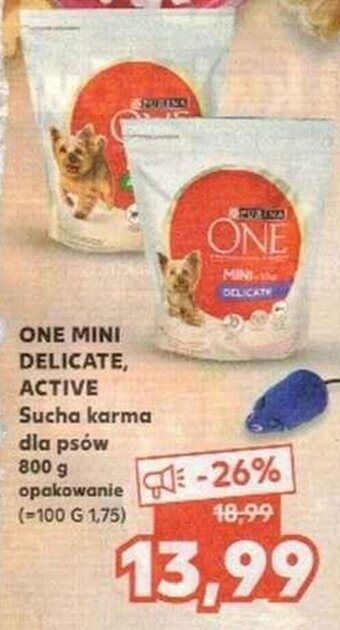 Kaufland Purina One mini delicate Active sucha karma dla psów 800g oferta