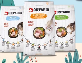 Kakadu Karma dla kota ontario oferta