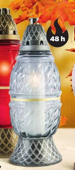 Netto Znicz oferta