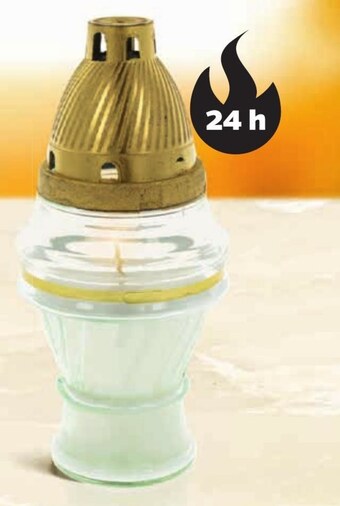 Netto Znicz oferta