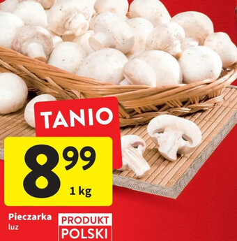 Intermarche pieczarka luz 1kg oferta