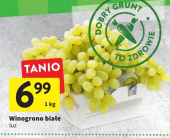 Intermarche winogrono białe luz 1kg oferta