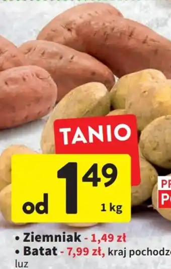 Intermarche batat 1kg oferta