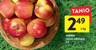 Intermarche Jabłka oferta