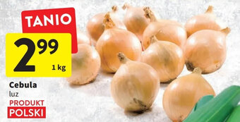 Intermarche cebula luz 1kg oferta