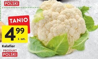 Intermarche Kalafior oferta