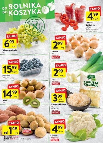 Intermarche Borówki amerykańskie oferta