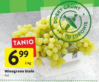 Intermarche Winogrona białe oferta