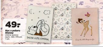 Netto Koc z polaru disney oferta