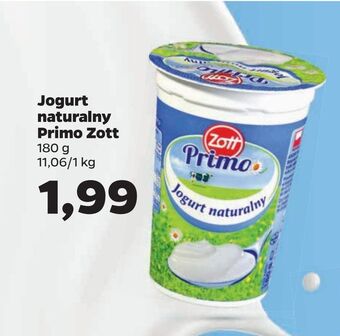 Netto Jogurt naturalny primo zott oferta