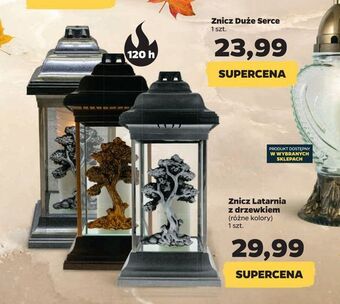 Netto Znicz latarnia z drzewkiem oferta
