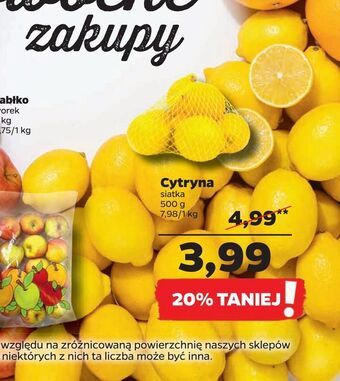 Netto Cytryna oferta