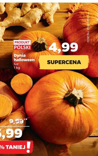 Netto Dynia halloween oferta